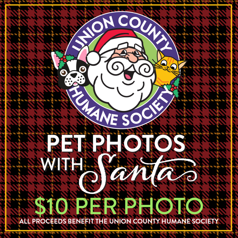 Pet Photos With Santa